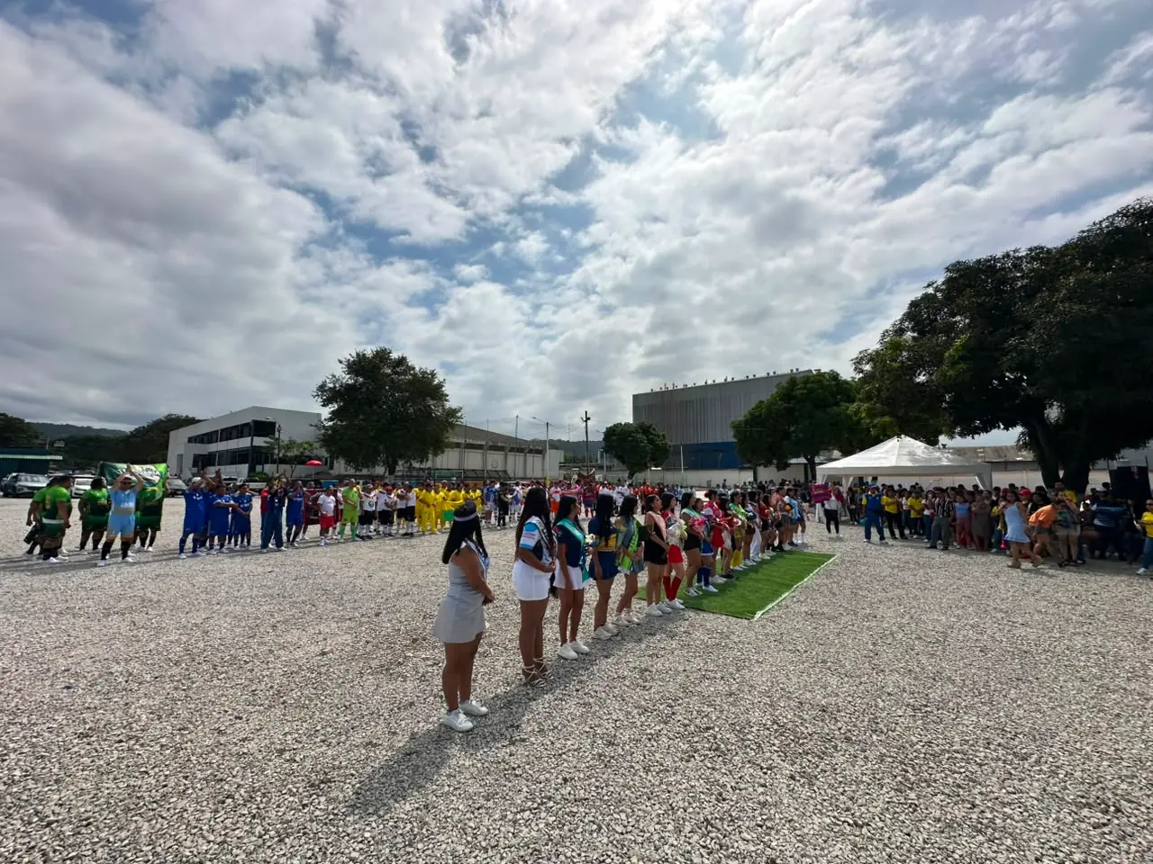 Foto de la galería 7